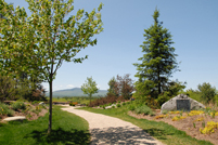 Mt. Monadnock & Dedication Plaque - Cathedral of the Pines - Rindge, NH